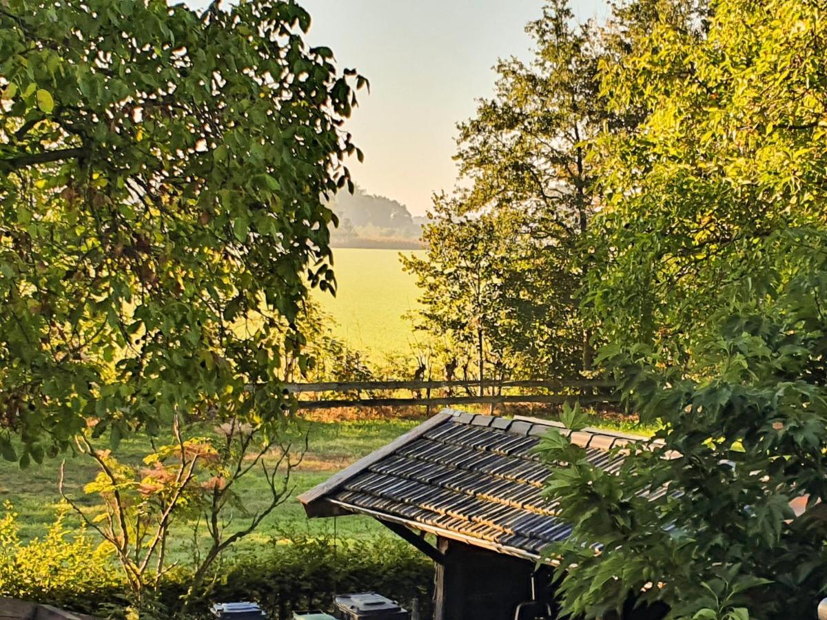 B&B De Nieuwenhof 'De Tuinkamer' Melderslo Kültér fotó